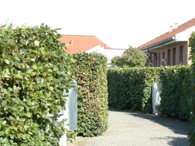 dk/images/ImageRotation/a0146a07-babd-4d61-a77f-fed11d972039